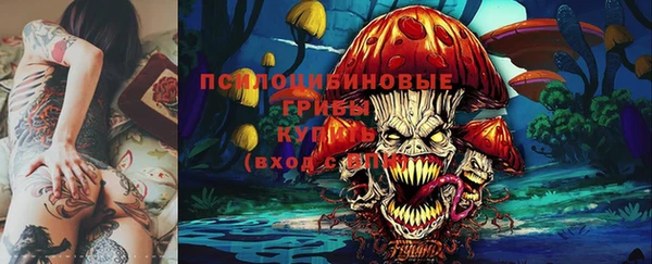 индика Алексин