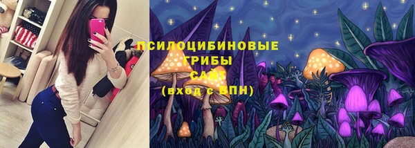 гашик Алзамай