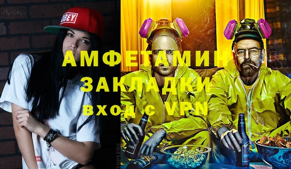 индика Алексин