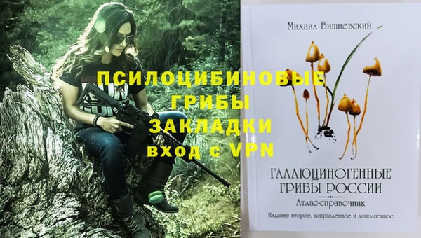 индика Алексин