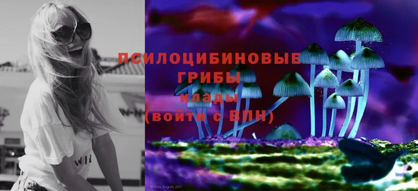 мяу мяу мука Абаза