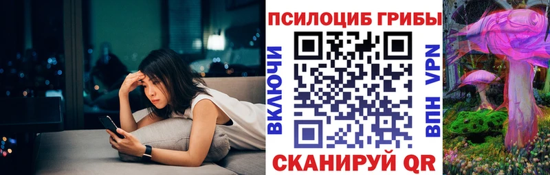 купить   кракен ссылки  Псилоцибиновые грибы Cubensis  Цивильск 